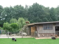 Arche Alfsee - Eindrücke aus dem Haustierpark