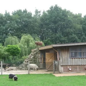 Arche Alfsee - Eindrücke aus dem Haustierpark