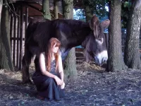 Arche Alfsee - Eindrücke aus dem Haustierpark