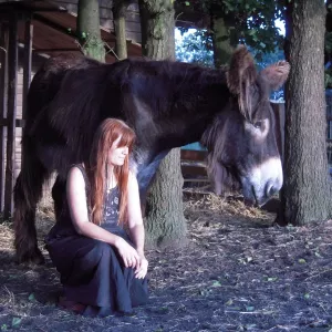 Arche Alfsee - Eindrücke aus dem Haustierpark
