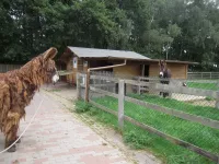 Arche Alfsee - Eindrücke aus dem Haustierpark