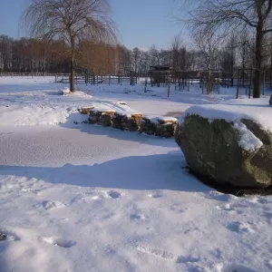Arche Alfsee - Eindrücke aus dem Haustierpark