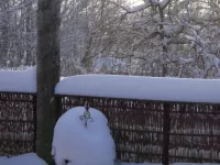 Arche Alfsee - Eindrücke aus dem Haustierpark