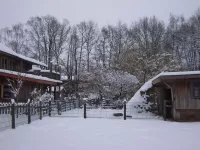 Arche Alfsee - Eindrücke aus dem Haustierpark