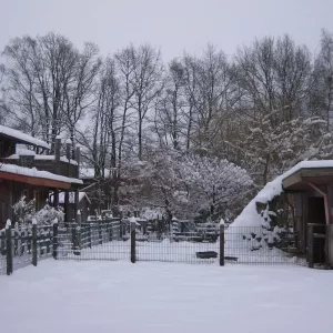 Arche Alfsee - Eindrücke aus dem Haustierpark