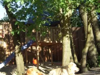 Arche Alfsee - Eindrücke aus dem Haustierpark