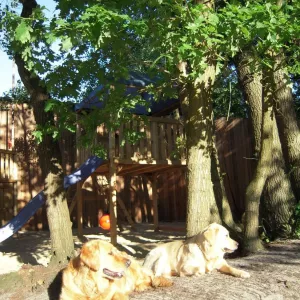 Arche Alfsee - Eindrücke aus dem Haustierpark