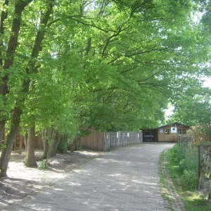 Arche Alfsee - Eindrücke aus dem Haustierpark