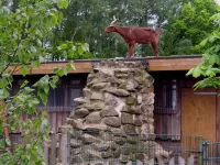 Arche Alfsee - Eindrücke aus dem Haustierpark