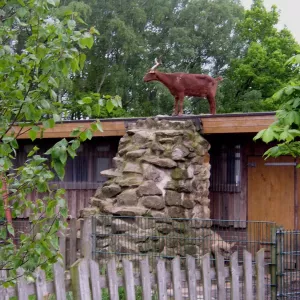 Arche Alfsee - Eindrücke aus dem Haustierpark