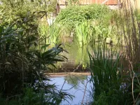 Arche Alfsee - Eindrücke aus dem Haustierpark