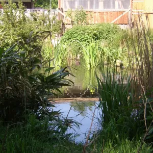 Arche Alfsee - Eindrücke aus dem Haustierpark