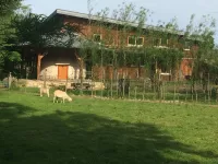 Arche Alfsee - Eindrücke aus dem Haustierpark