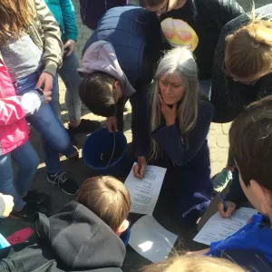 Arche Alfsee - Eindrücke aus dem Haustierpark