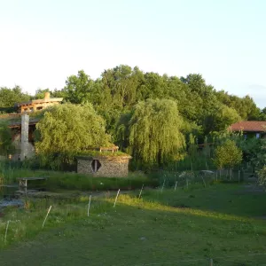 Arche Alfsee - Eindrücke aus dem Haustierpark