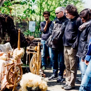 Arche Alfsee - Eindrücke aus dem Haustierpark