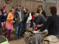 Arche Alfsee - Eindrücke aus dem Haustierpark