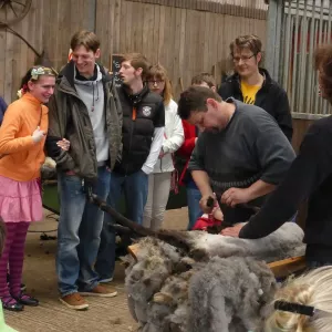 Arche Alfsee - Eindrücke aus dem Haustierpark